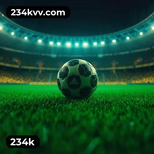234k em números - plataforma líder no Brasil desde 2020